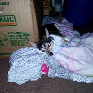 Meet your Posher, Michelle